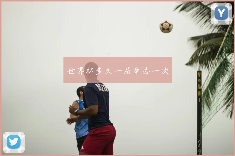 世界杯多久一届举办一次