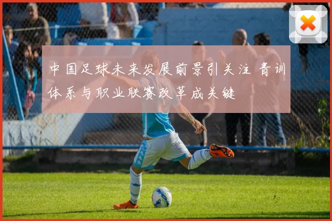 中国足球未来发展前景引关注 青训体系与职业联赛改革成关键