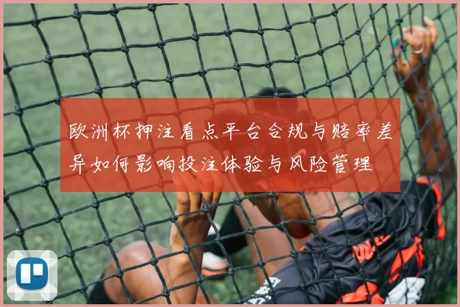 欧洲杯押注看点平台合规与赔率差异如何影响投注体验与风险管理