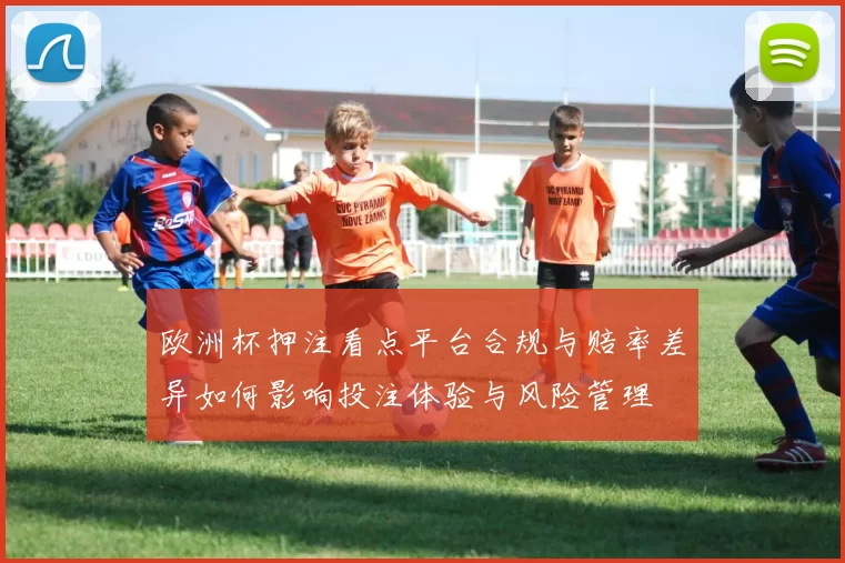 欧洲杯押注看点平台合规与赔率差异如何影响投注体验与风险管理