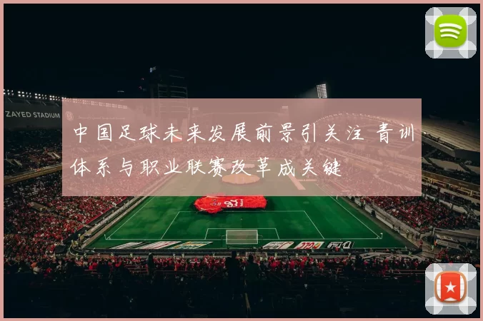 中国足球未来发展前景引关注 青训体系与职业联赛改革成关键