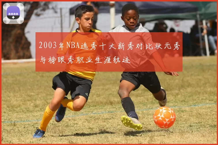 2003年NBA选秀十大新秀对比状元秀与榜眼秀职业生涯轨迹