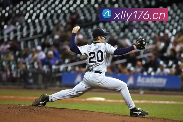 九游j9官方平台生态图