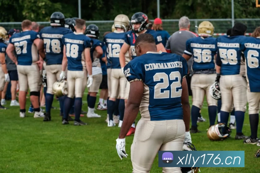 九游j9官方APP 封面图